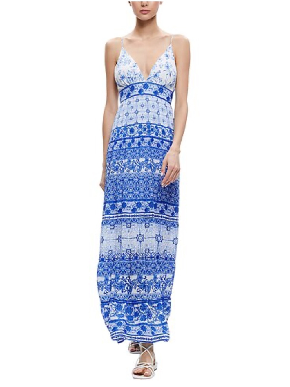Alice + Olivia Karolina Floral Maxi Dress